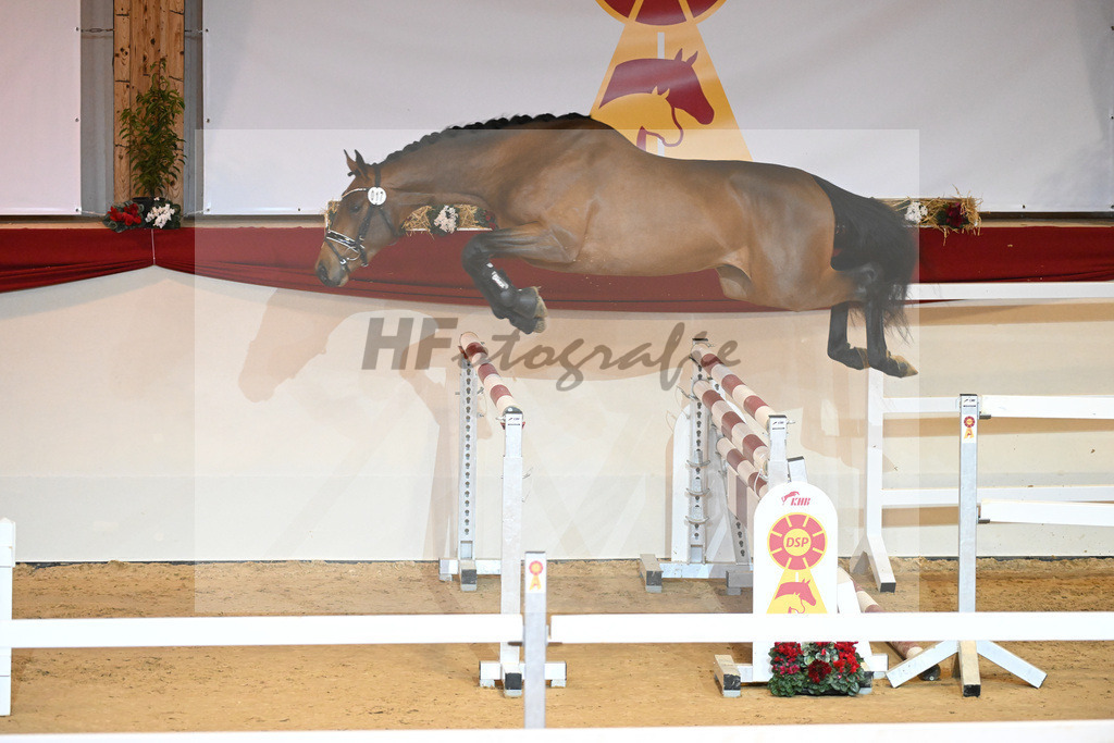 Kat-Nr. 17 Cullinan du Borget_Keitel u Tischer_1230868 | hf-fotografie - Realisiert mit Pictrs.com
