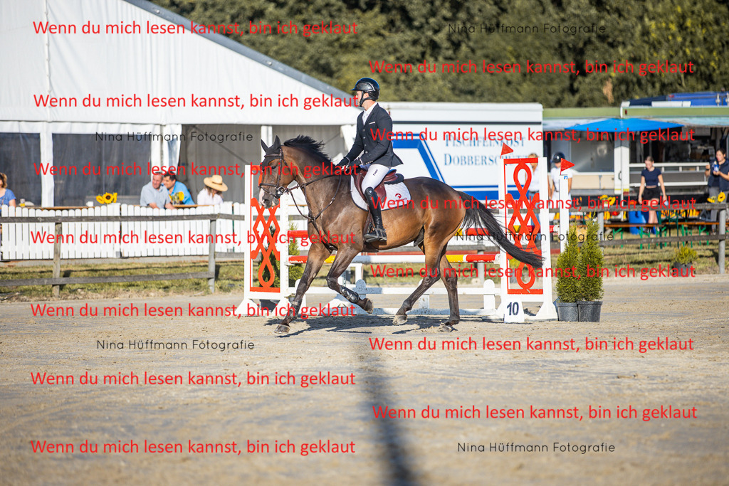 BK1A6220 | Turnierbilder Turnierfotos Nina Hüffmann Turnierfotografie Pferdefotografie Tierzeichnung Haustierzeichnung Pferdezeichnung Hundezeichnung Videograf  - Realisiert mit Pictrs.com