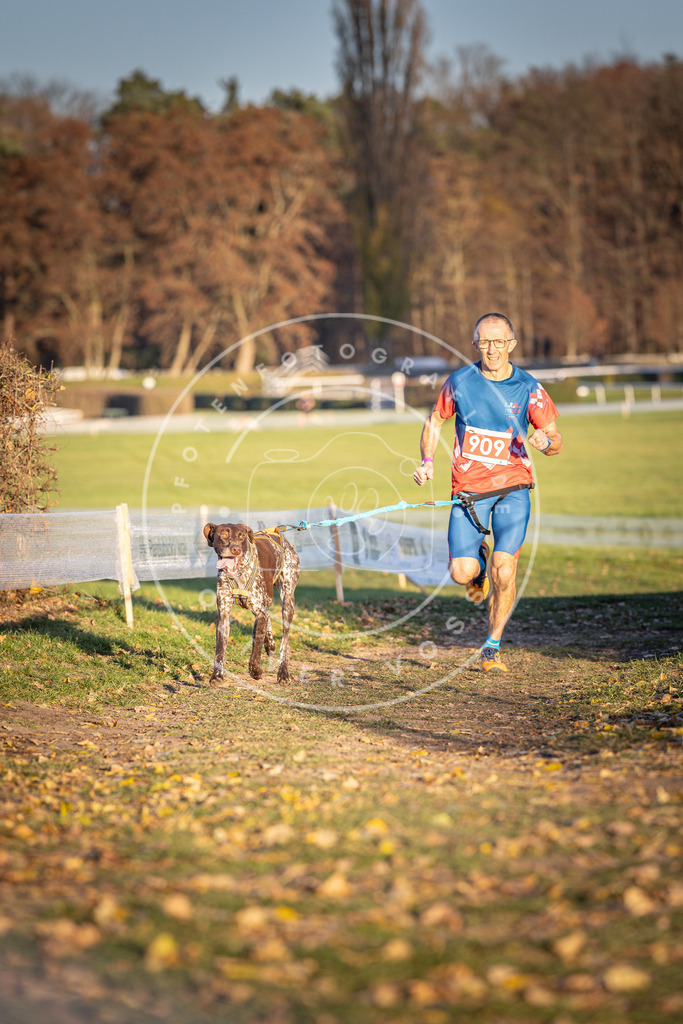 CaniXpix_DV3A4661 | Hundefotografie, Tierfotograf, Pfotenfotografie, Fotoshooting Hund, Hunde Portrait, Hundesport, Hundeportraits, Heideshooting, Hunde, Sportfotograf, Hundefotograf, Turnierhundsport, THS,  - Realisiert mit Pictrs.com