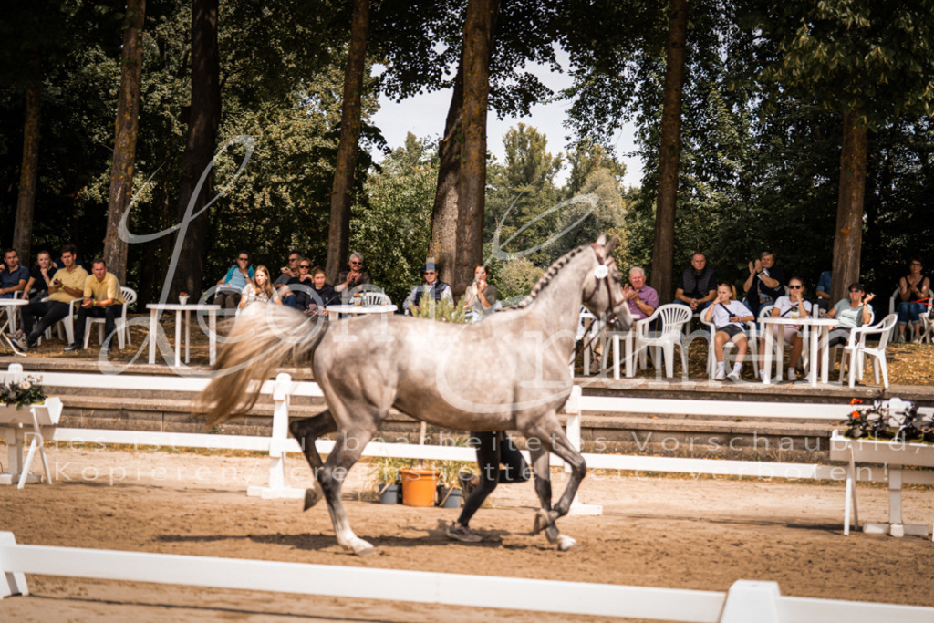 1.Fr00181 | Leoni Ertmer Photography - Realisiert mit Pictrs.com