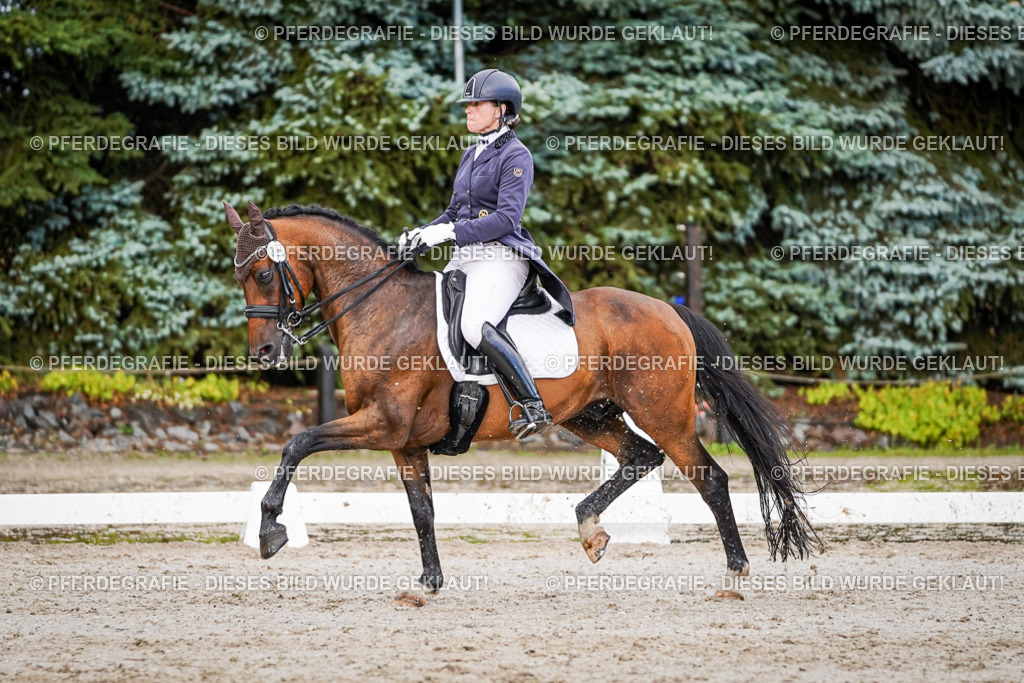 DSC00237 | Pferdegrafie