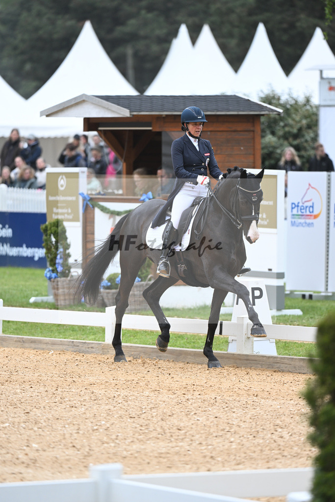 Toniutti_Stradivari_11232246 | hf-fotografie - Realisiert mit Pictrs.com