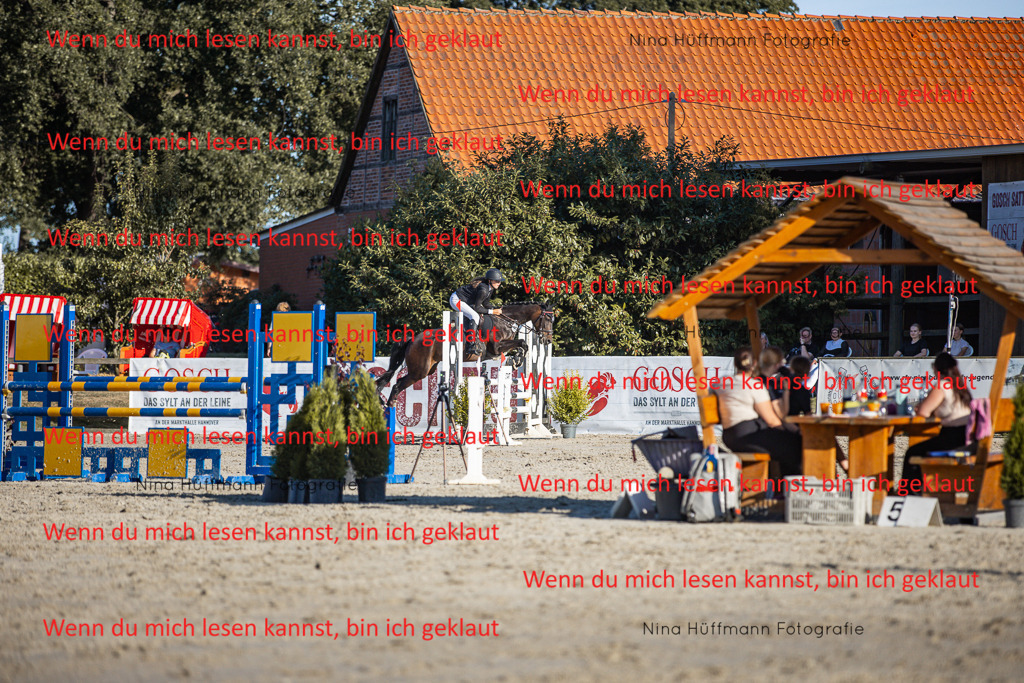 BK1A7849 | Turnierbilder Turnierfotos Nina Hüffmann Turnierfotografie Pferdefotografie Tierzeichnung Haustierzeichnung Pferdezeichnung Hundezeichnung Videograf  - Realisiert mit Pictrs.com