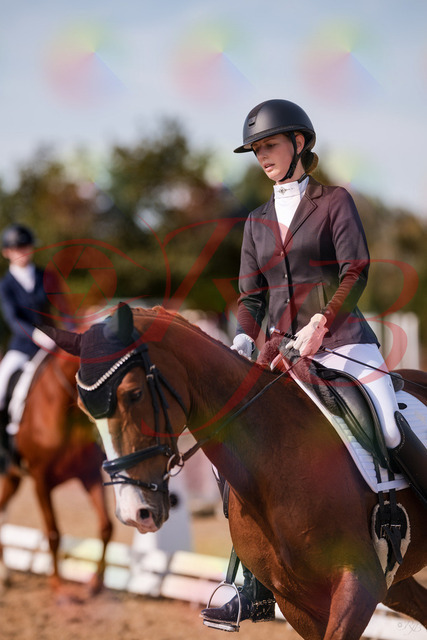 2026_10_03_Siefer-Hof_133202_Z81_87760917 | Professionelle Reitsport-, Turnier- und Eventfotografie von Robert Broda. Galerien mit ausgewählten und bearbeiteten Bildern direkt online ansehen und bestellen.