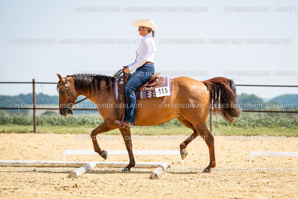 DSC00767 | Pferdegrafie