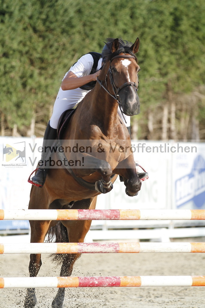 _MG_6366 | equestrian-live-com