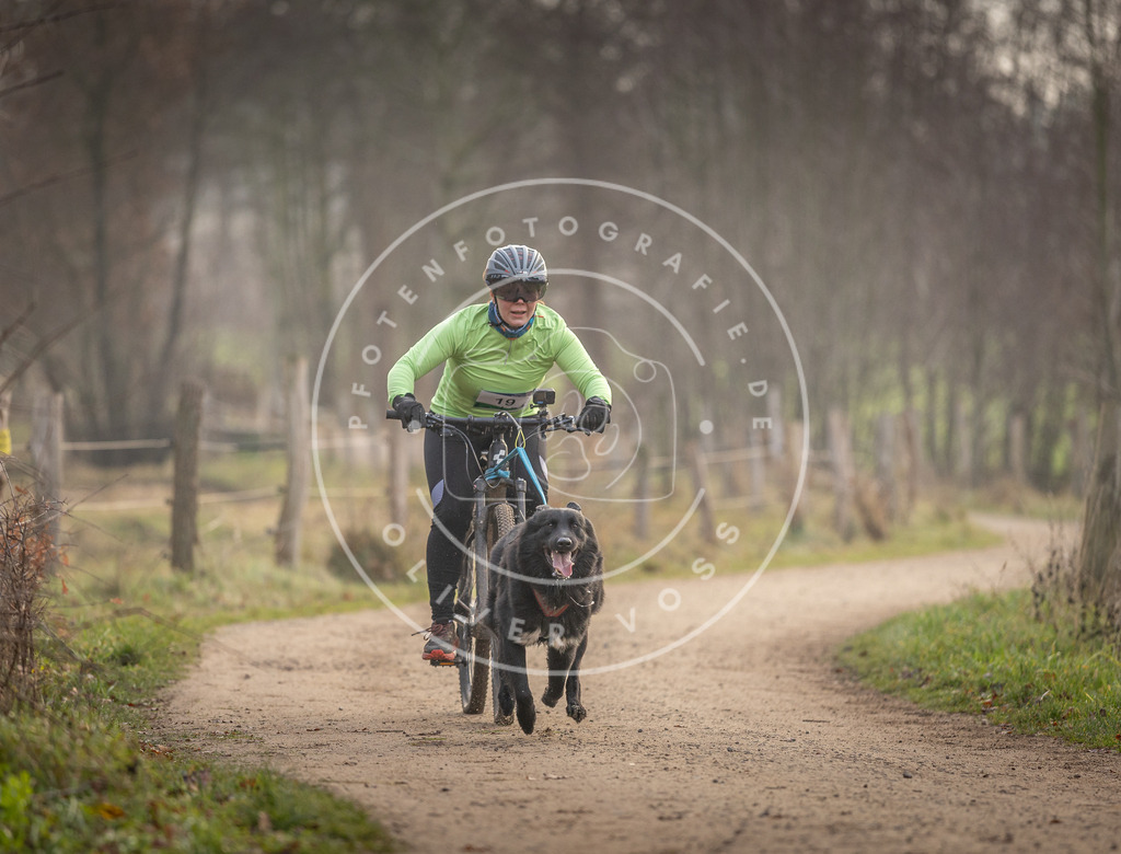 Pfotenfotografie_DV3A1932 | Hundefotografie, Tierfotograf, Pfotenfotografie, Fotoshooting Hund, Hunde Portrait, Hundesport, Hundeportraits, Heideshooting, Hunde, Sportfotograf, Hundefotograf, Turnierhundsport, THS,  - Realisiert mit Pictrs.com
