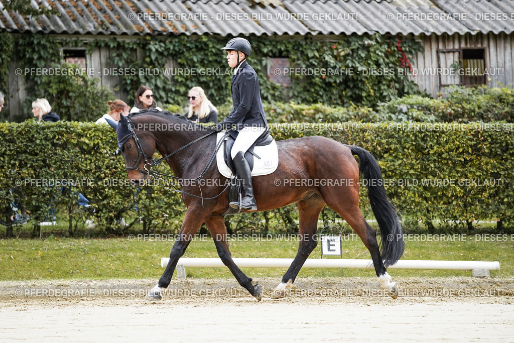 DSC04377 | Pferdegrafie