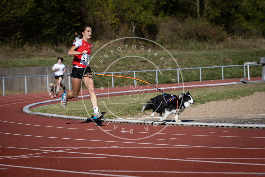 Pfotenfotografie_DV3A8226 | Hundefotografie, Tierfotograf, Pfotenfotografie, Fotoshooting Hund, Hunde Portrait, Hundesport, Hundeportraits, Heideshooting, Hunde, Sportfotograf, Hundefotograf, Turnierhundsport, THS,  - Realisiert mit Pictrs.com