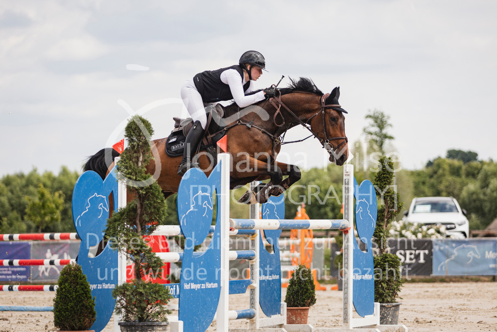 250629_PfSpTa_2Ph-M1-770 | Deine schönsten Turniermomente als professionelle Fotos! Entdecke hochwertige Pferdesport-Fotografie im Online-Shop. Jetzt Fotos finden & bestellen!