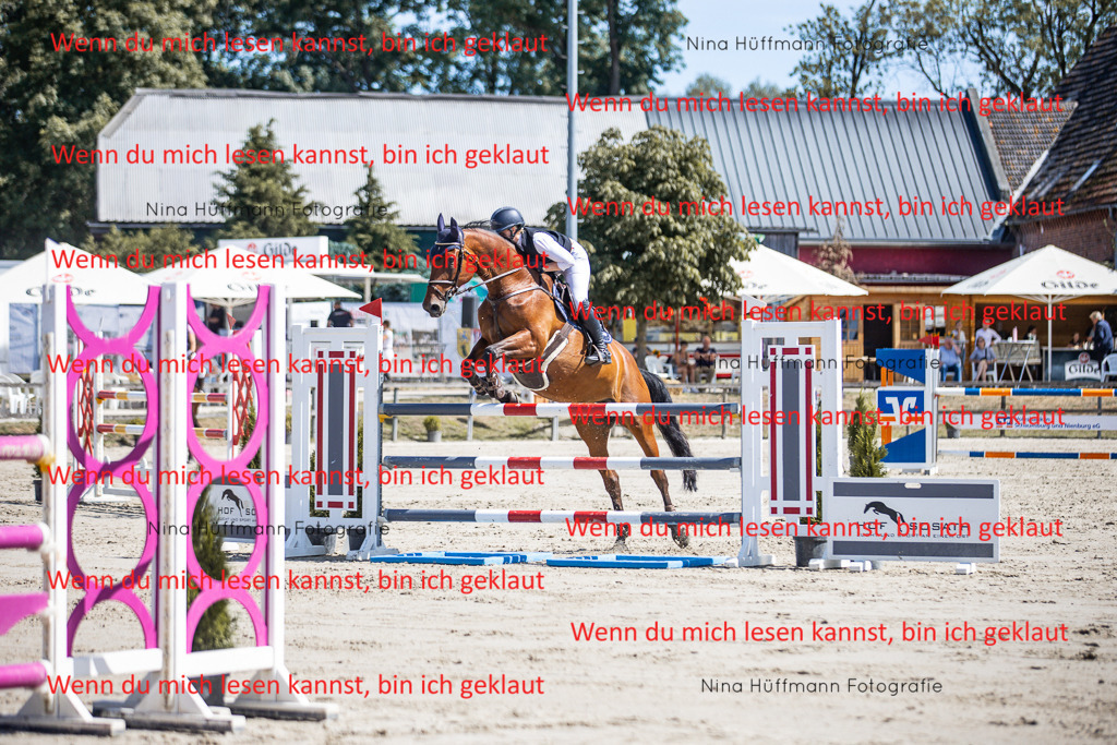 BK1A6717 | Turnierbilder Turnierfotos Nina Hüffmann Turnierfotografie Pferdefotografie Tierzeichnung Haustierzeichnung Pferdezeichnung Hundezeichnung Videograf  - Realisiert mit Pictrs.com