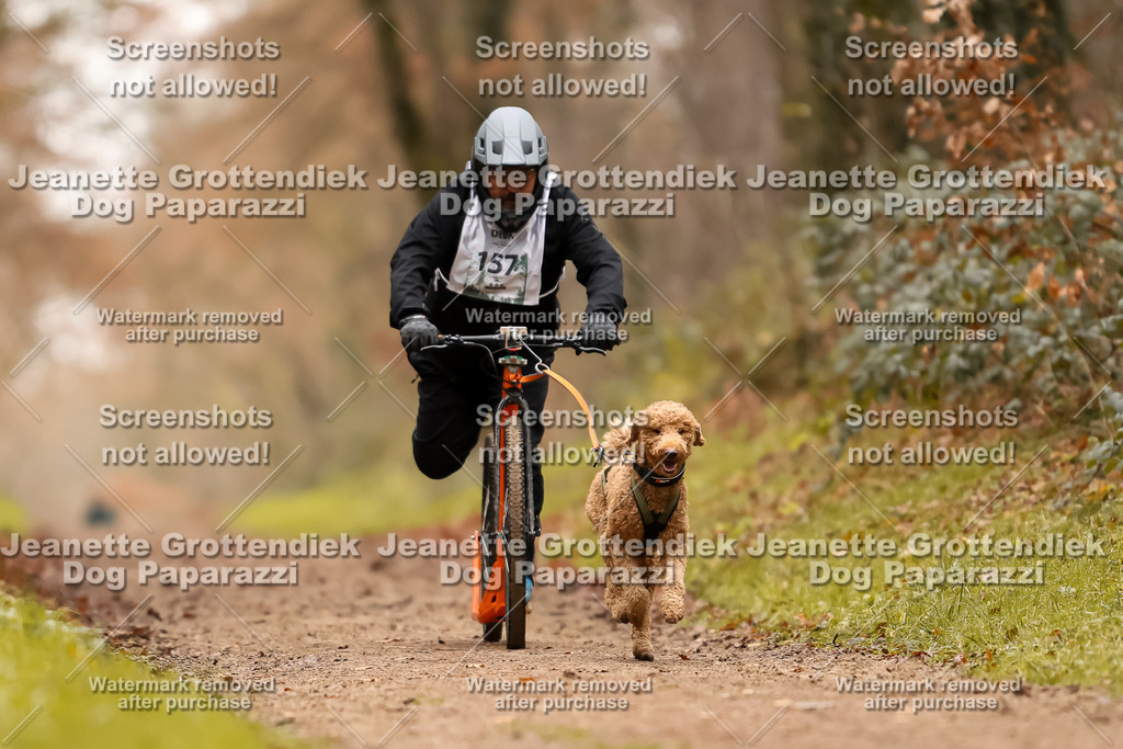 Dog Paparazzi - Speedhunter Mannheim  2025-429 | Dog Paparazzi Jeanette Grottendiek Fotografie & Videografie