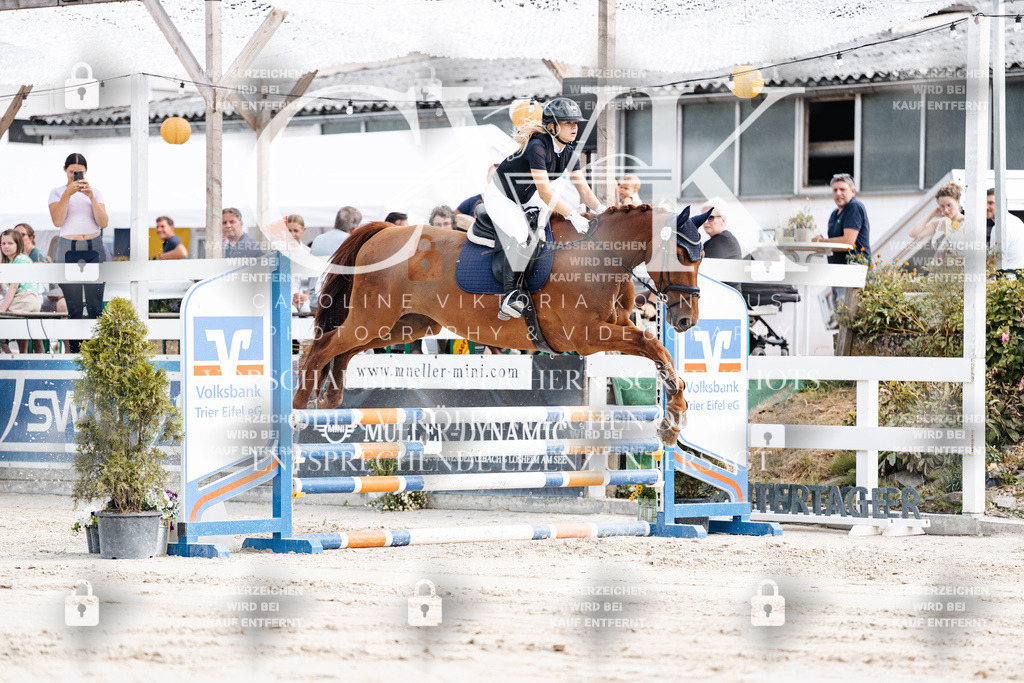 CK909013 | Turnierfotografie Pferdefotografie Trier Rheinland-Pfalz Pferdesport Reitsport Tierfotografie Sportfotografie Pferdevideo Pferdevideografie Equestrianvideography equestrianphotography  - Realisiert mit Pictrs.com