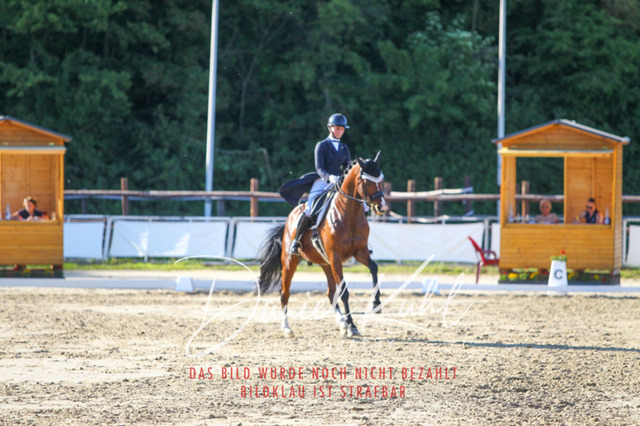 DKP42848 | Turniersportfotografie; Pferdefotografie; Dressurfotografie