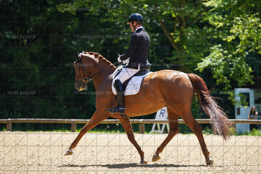 20240705-FAH03558 | Turnierbilder von Grafing, Reitsportbilder, Turnierfotos, Turnierfotografen Bayern, Pferdefotograf, Fotoagentur Herrmann