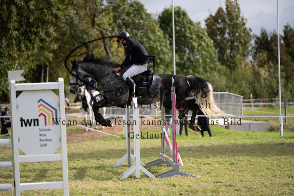 A7V07381 | Turnier/Reitfotograf