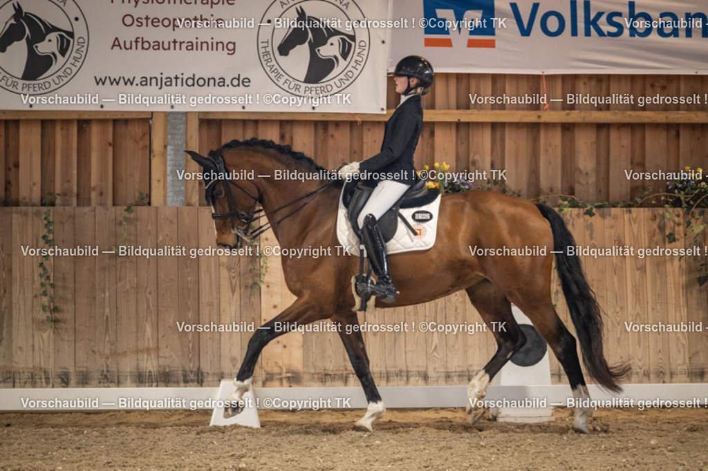 _D5A9001 | Emotionale Pferde- & People-Fotografie rund um Heidelberg, Leimen & Umgebung. Natürliche Fotos von Pferd, Mensch & Familie. Jetzt Termin sichern!