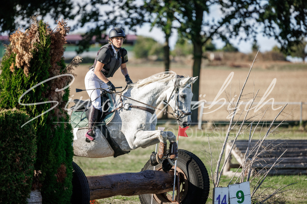 20260905-_3LI0779 | Tierfotografie Pferde, Hunde, Katzen, Haustiere.
Turnierfotografie Reitturniere, Reiten, Springreiten, Dressur in Hanau, dem Main-Kinzig-Kreis und dem Rhein-Main- Gebiet um Frankfurt