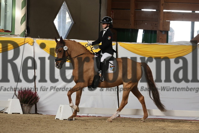 Ising_2025_Prfg.Nr.20_Pony-Dressurprfg.Kl.L_Kür_Lakeysha Eiselt_Crown Wishing Well (1) | Alle Fotos der Reiterjournal Fotografin Doris Matthaes im Reiterjournal Online-Fotoshop. - Realisiert mit Pictrs.com