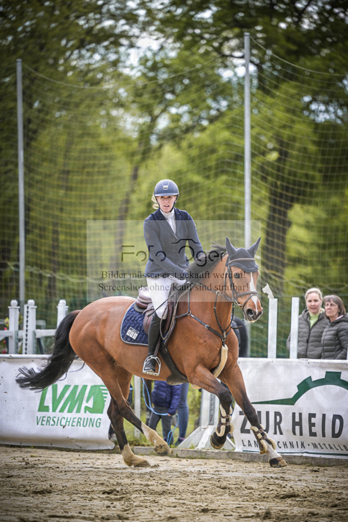 DOS_1624 | Entdecke hochwertige Reitturnierfotos von Foto Oger. Professionell, emotional und authentisch – jetzt Lieblingsmomente im Shop bestellen.Deutschlandweite Turnierfotografie. - Realisiert mit Pictrs.com