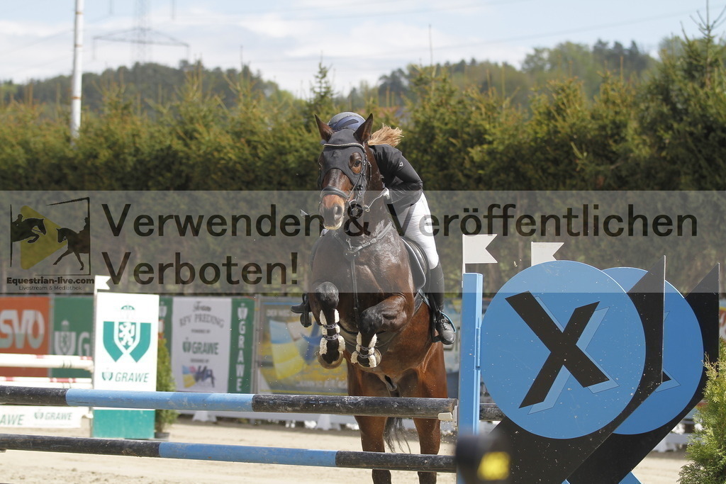 _MG_5382 | equestrian-live-com