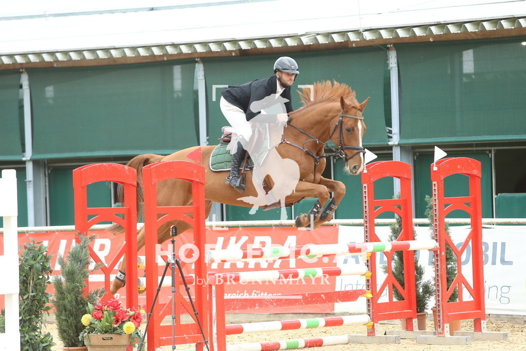 DL2Q6792 | Willkommen bei Brunnmayr - Design & Fotografie – Ihrem Spezialisten für Reitturniere und Pferdeveranstaltungen in Oberösterreich, Salzburg und Bayern! Seit über 17 Jahren sind wir leidenschaftlich dabei.
