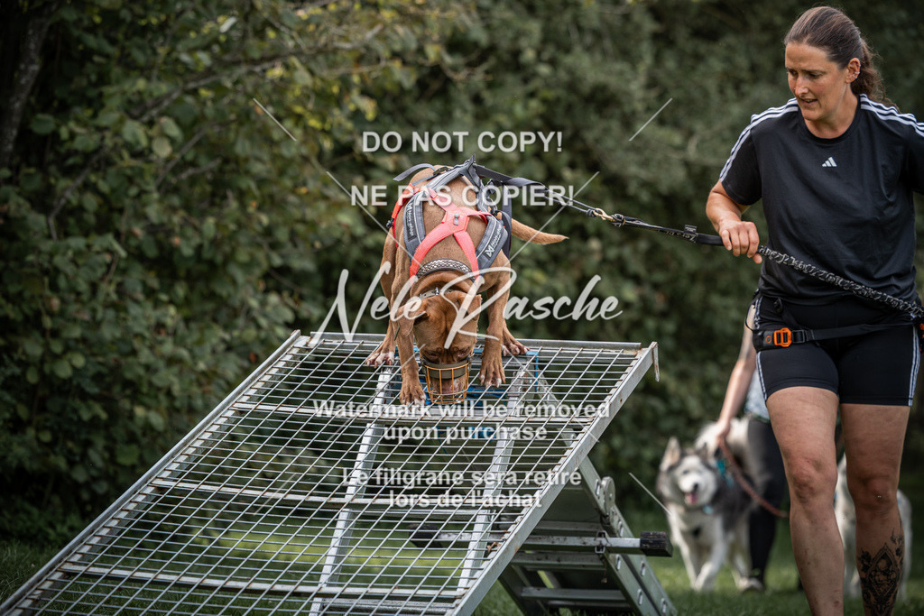 nelerasche_SoLauf_150 | nelerasche
