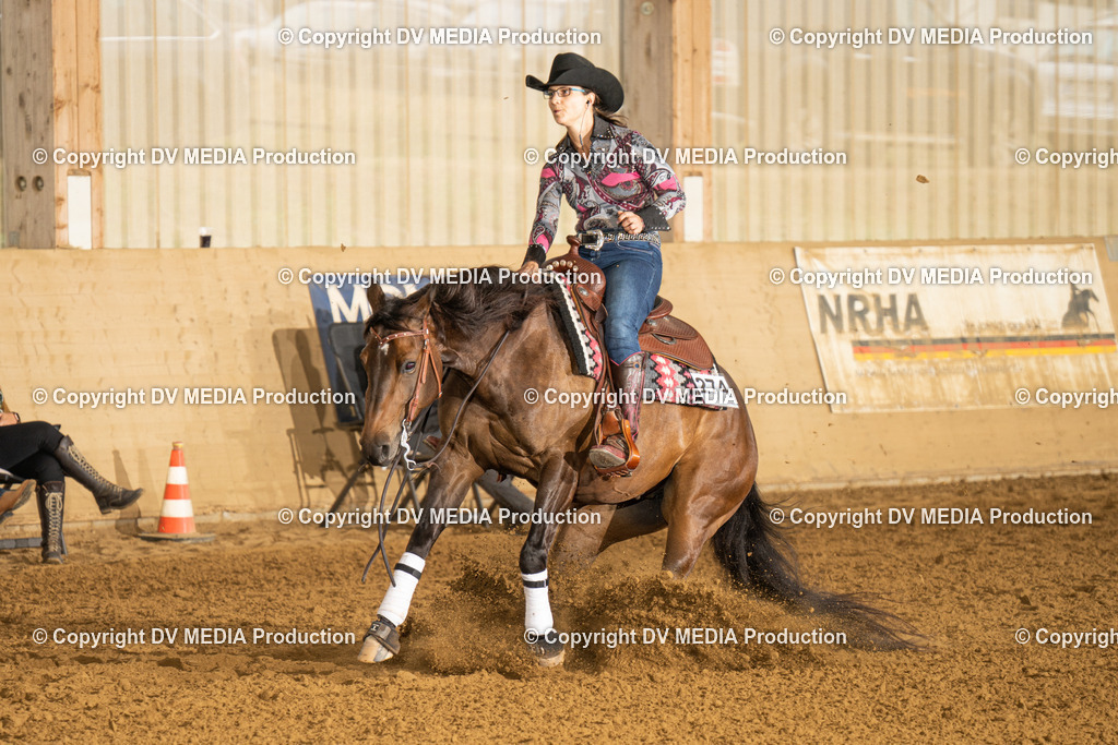 LAU00721 | dv-media-shop - Realisiert mit Pictrs.com