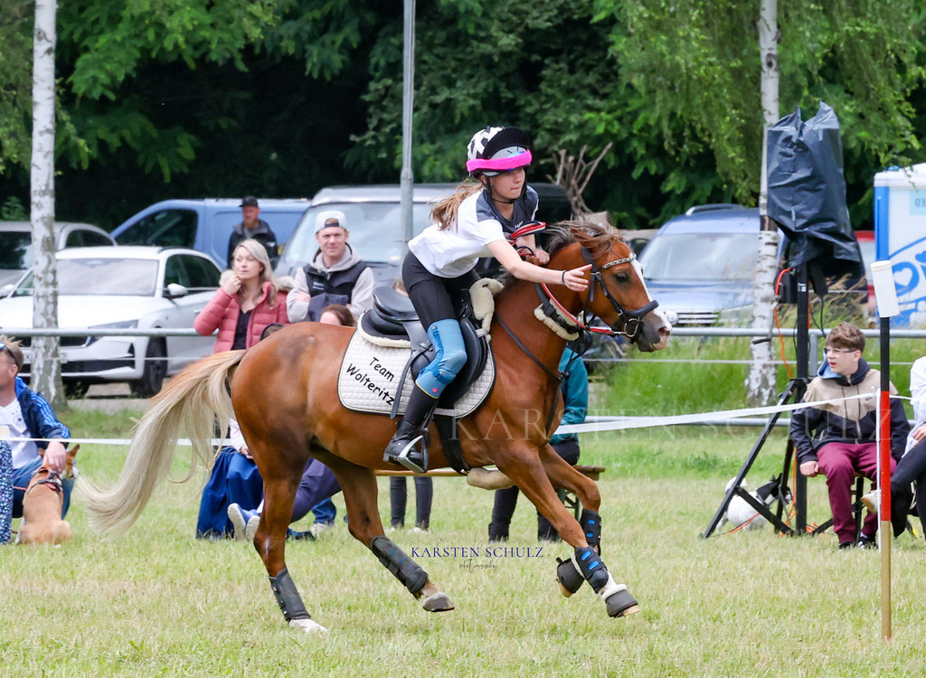 1B3A1326 | Reitsport Reiten