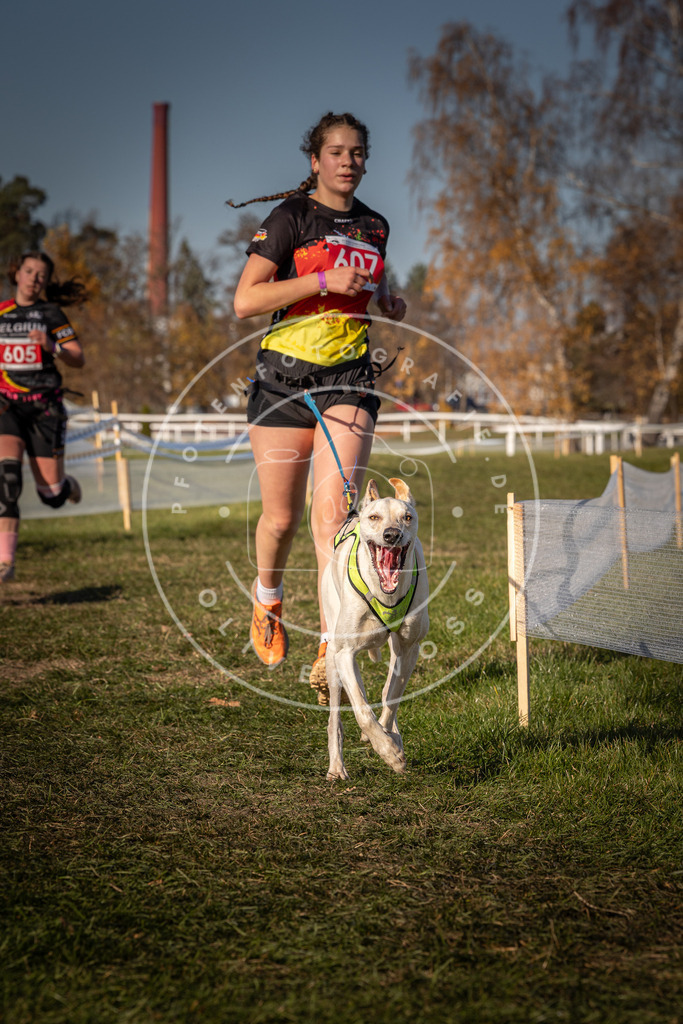 CaniXpix_0L8A8636 | Hundefotografie, Tierfotograf, Pfotenfotografie, Fotoshooting Hund, Hunde Portrait, Hundesport, Hundeportraits, Heideshooting, Hunde, Sportfotograf, Hundefotograf, Turnierhundsport, THS,  - Realisiert mit Pictrs.com