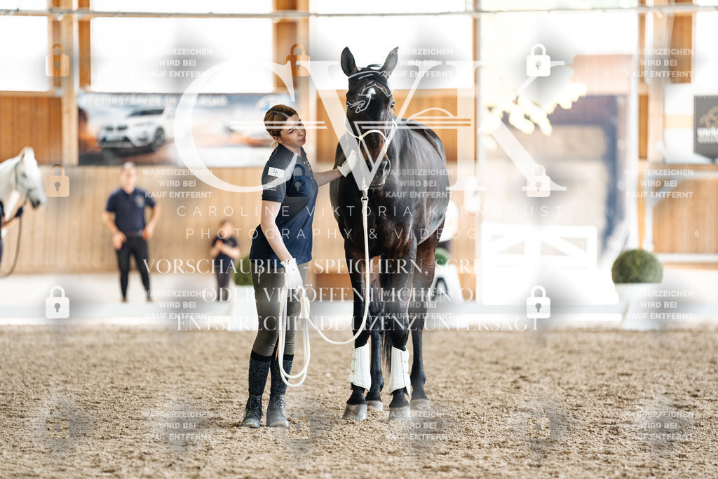 CK908121 | Turnierfotografie Pferdefotografie Trier Rheinland-Pfalz Pferdesport Reitsport Tierfotografie Sportfotografie Pferdevideo Pferdevideografie Equestrianvideography equestrianphotography  - Realisiert mit Pictrs.com