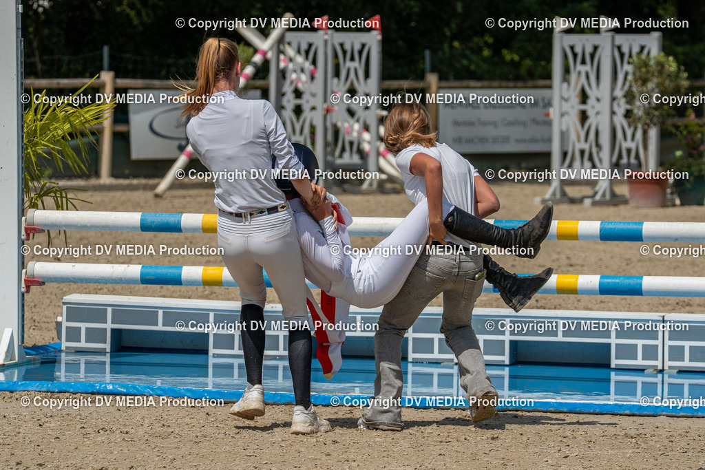 Hessische Tag 3-223 | dv-media-shop - Realisiert mit Pictrs.com