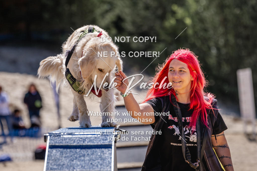 NR__1519 | nelerasche