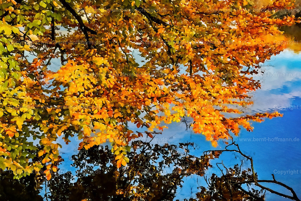 PDM2_1041a_Herbstfarben_180x120 | DIGITALKUNST. Herbstimpression am See. __ Buchenzweige mit Laubverfärbung über dem stillen Wasser an einem See. _ Motiv gekontert. __ Seitenverhältnis = 3 zu 2 - Realisiert mit Pictrs.com