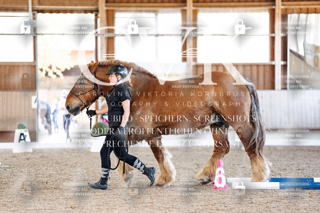 CK906313 | Turnierfotografie Pferdefotografie Trier Rheinland-Pfalz Pferdesport Reitsport Tierfotografie Sportfotografie Pferdevideo Pferdevideografie Equestrianvideography equestrianphotography  - Realisiert mit Pictrs.com