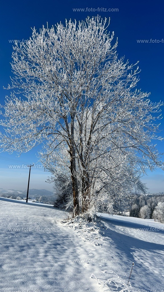 IMG_E6756 | www.foto-fritz.com - Realisiert mit Pictrs.com