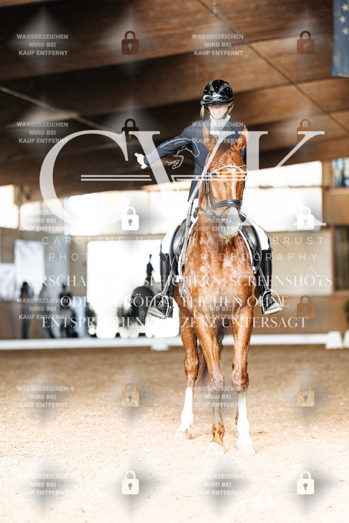 CK902453 | Turnierfotografie Pferdefotografie Trier Rheinland-Pfalz Pferdesport Reitsport Tierfotografie Sportfotografie Pferdevideo Pferdevideografie Equestrianvideography equestrianphotography  - Realized with Pictrs.com
