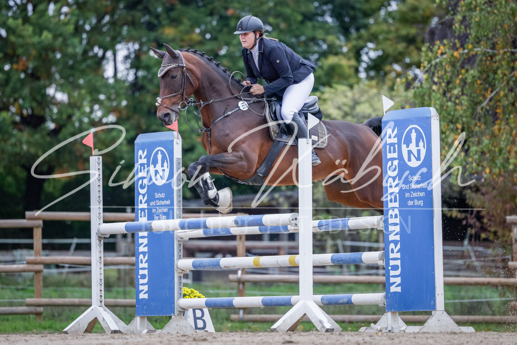 20251012-_3LI4987 | Tierfotografie Pferde, Hunde, Katzen, Haustiere.
Turnierfotografie Reitturniere, Reiten, Springreiten, Dressur in Hanau, dem Main-Kinzig-Kreis und dem Rhein-Main- Gebiet um Frankfurt