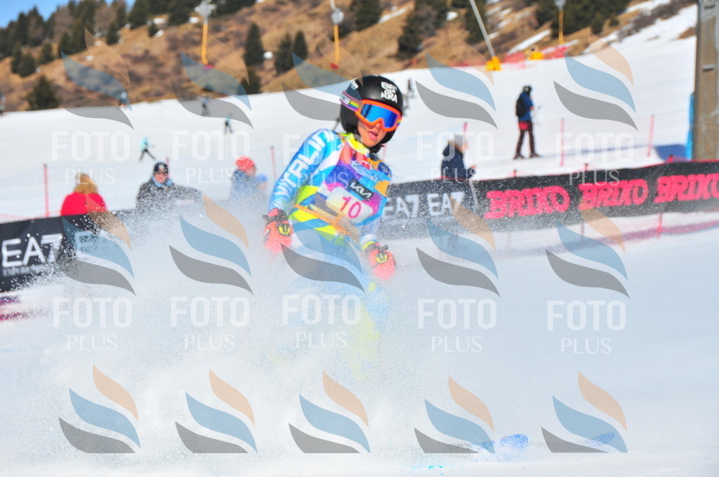 DSC_3758 | holidayphoto