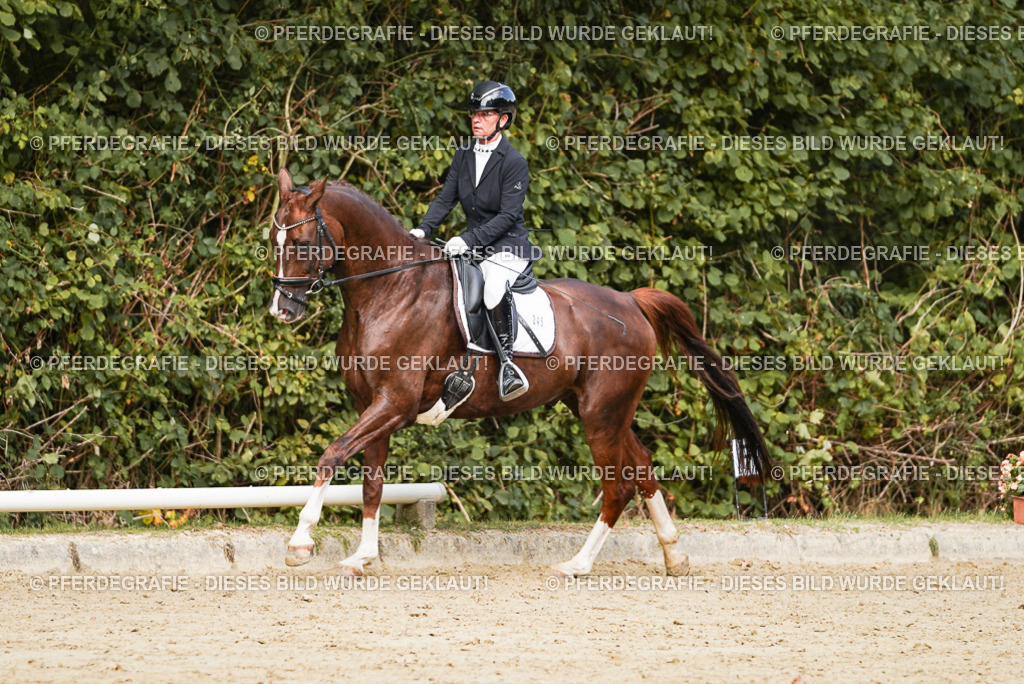 DSC02758 | Pferdegrafie