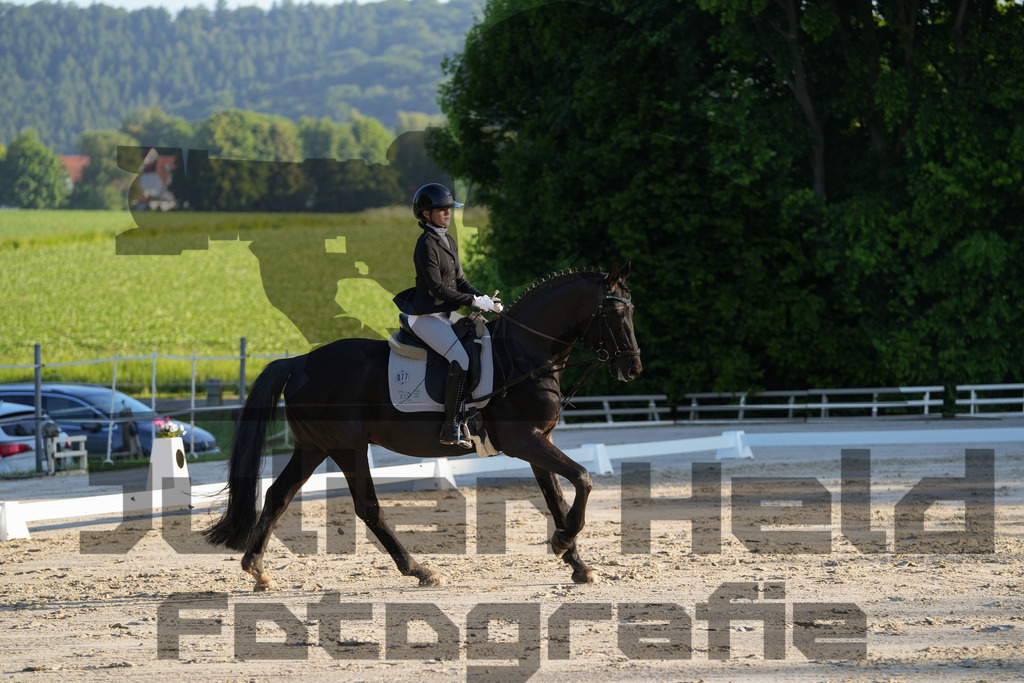 DSC02595 | Julian Held Fotografie - Realisiert mit Pictrs.com