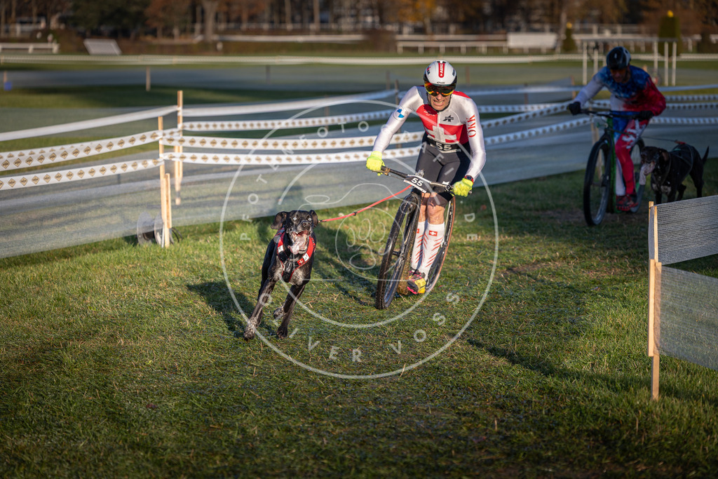 CaniXpix_0L8A3039 | Hundefotografie, Tierfotograf, Pfotenfotografie, Fotoshooting Hund, Hunde Portrait, Hundesport, Hundeportraits, Heideshooting, Hunde, Sportfotograf, Hundefotograf, Turnierhundsport, THS,  - Realisiert mit Pictrs.com