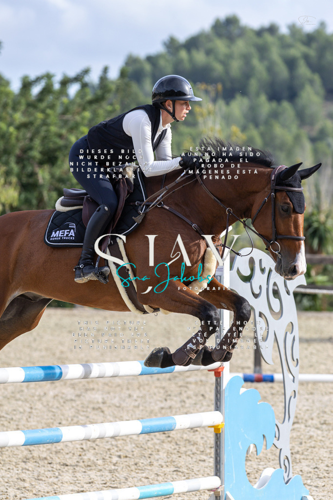 IMG_4026 | s-jay-photography - Realisiert mit Pictrs.com