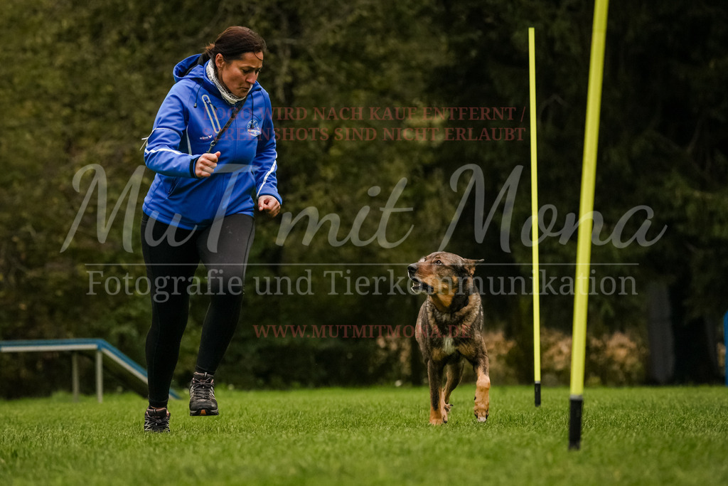 20251005_THS_Turnier-509 | MuT (Mensch und Tier) mit Mona - Fotografie und Tierkommunikation - Realisiert mit Pictrs.com