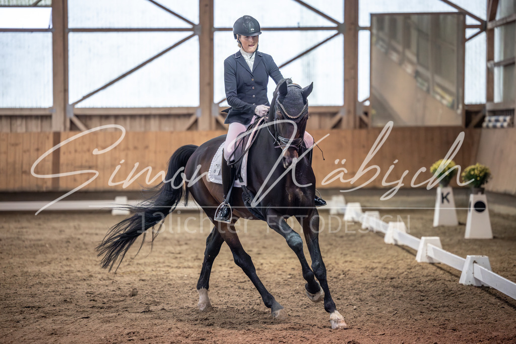 20251011-_3LI1710 | Tierfotografie Pferde, Hunde, Katzen, Haustiere.
Turnierfotografie Reitturniere, Reiten, Springreiten, Dressur in Hanau, dem Main-Kinzig-Kreis und dem Rhein-Main- Gebiet um Frankfurt