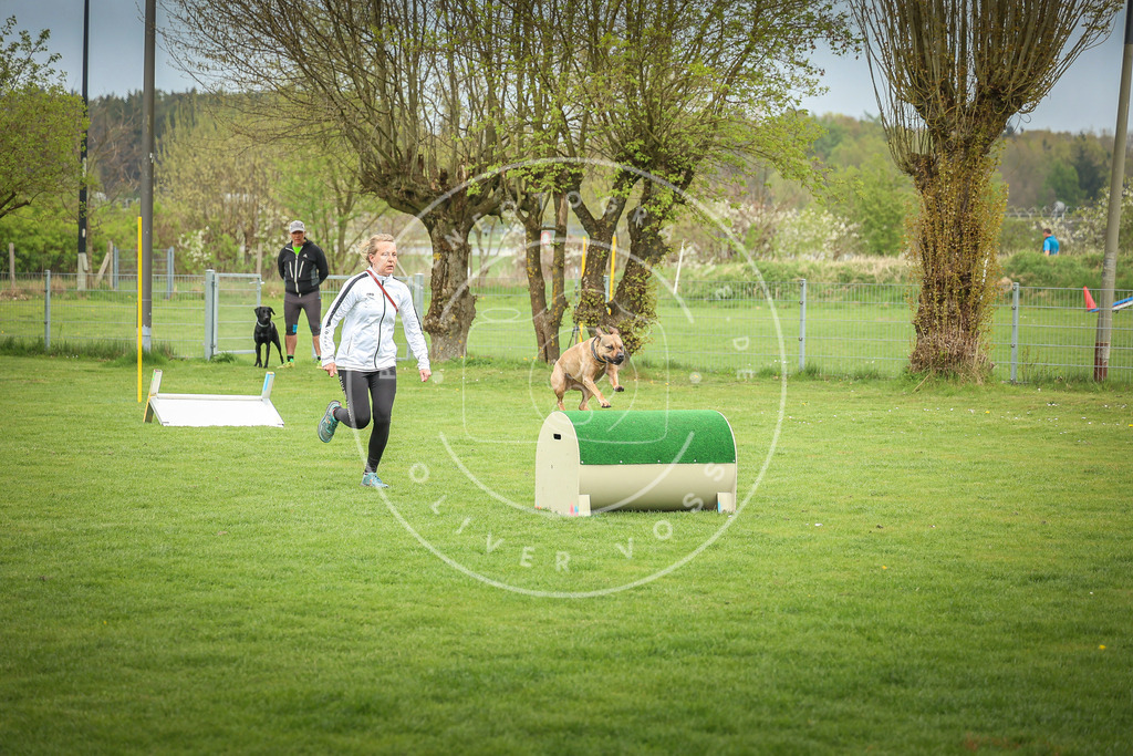 Pfotenfotografie_0L8A9477 | Hundefotografie, Tierfotograf, Pfotenfotografie, Fotoshooting Hund, Hunde Portrait, Hundesport, Hundeportraits, Heideshooting, Hunde, Sportfotograf, Hundefotograf, Turnierhundsport, THS,  - Realisiert mit Pictrs.com