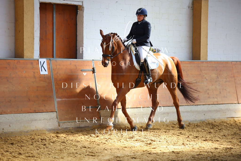 IMGT7091 | pl-fotografie