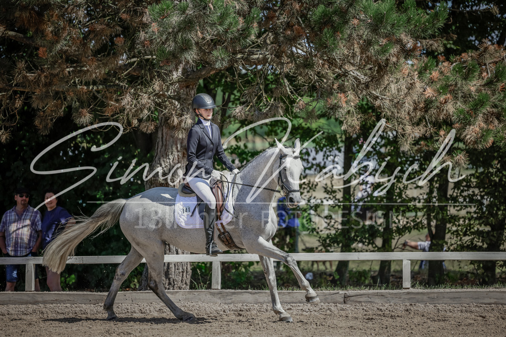 20250906-_3LI4665 | Tierfotografie Pferde, Hunde, Katzen, Haustiere.
Turnierfotografie Reitturniere, Reiten, Springreiten, Dressur in Hanau, dem Main-Kinzig-Kreis und dem Rhein-Main- Gebiet um Frankfurt