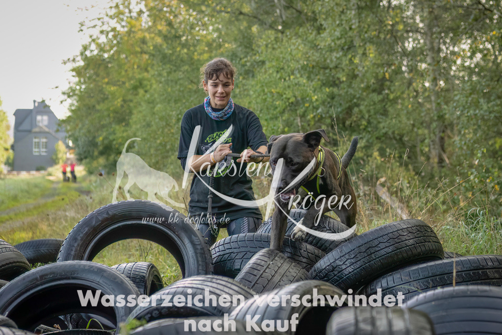 1027_ZZ94356-Bearbeitet-2 | kk-dogfotos