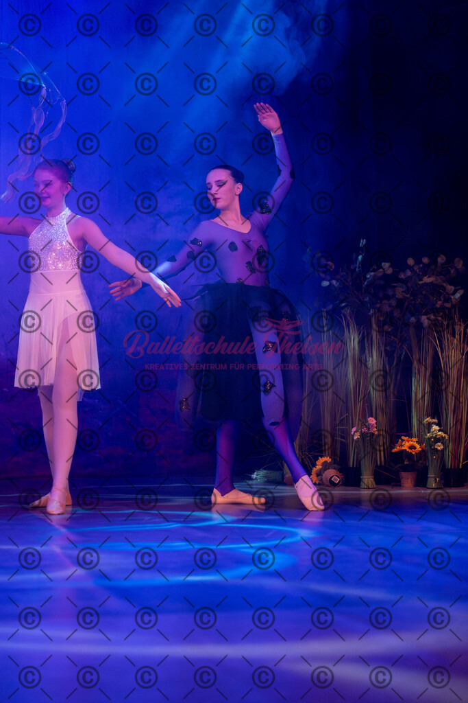 Ballettaufführung-1667 | Bildershop Lem'n Entertainment - Realisiert mit Pictrs.com